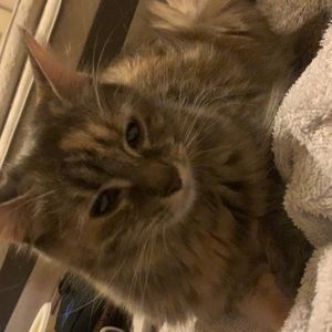 Meet your Posher, Jay